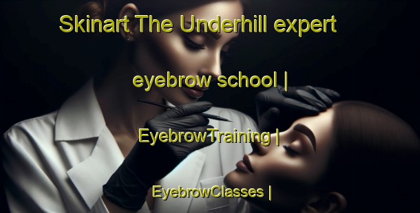 Skinart The Underhill expert eyebrow school | EyebrowTraining | EyebrowClasses | SkinartTraining-Canada